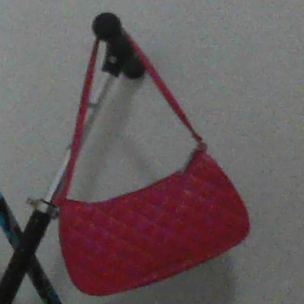 purse